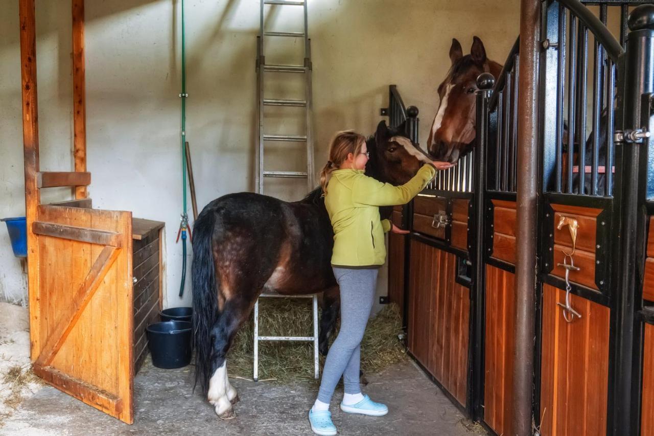 Apartamenty "Goralskie Katy" Agroturystyka Szaflary Eksteriør billede